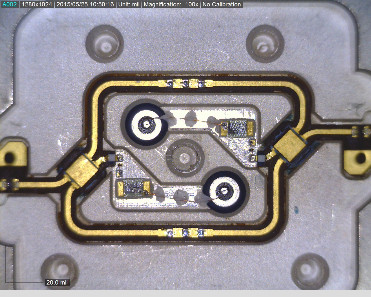 d1959.jpg